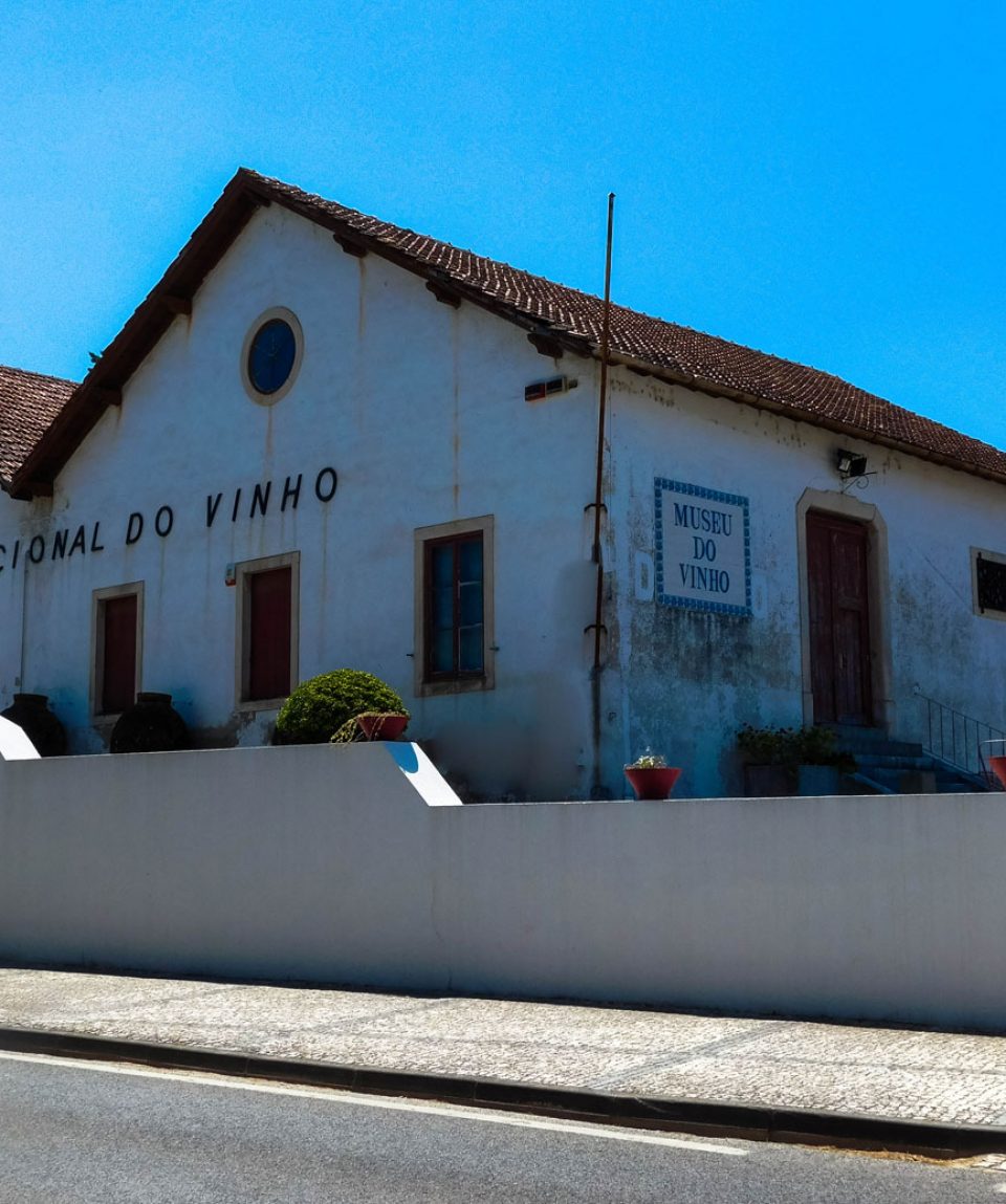 Museu do Vinho Alcobaça